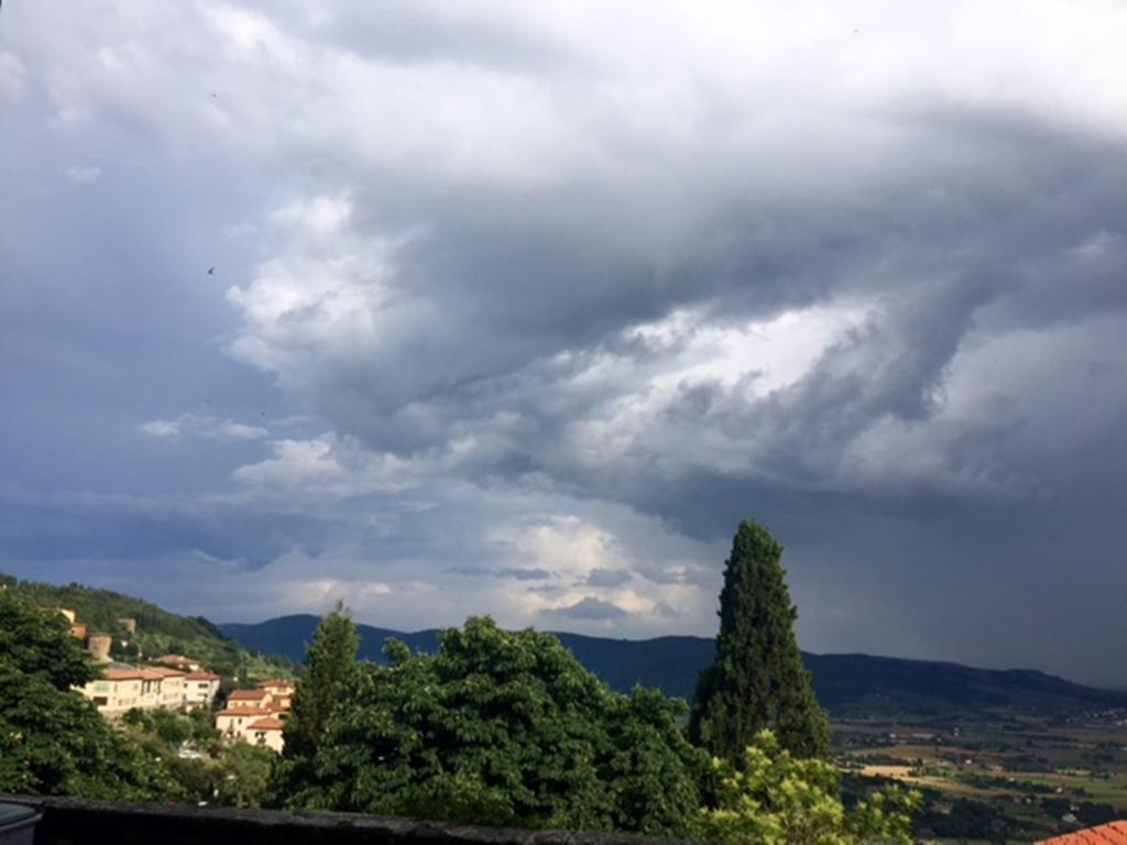 Apartment Belvedere *