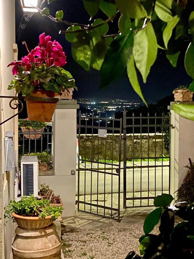 Apartment Belvedere